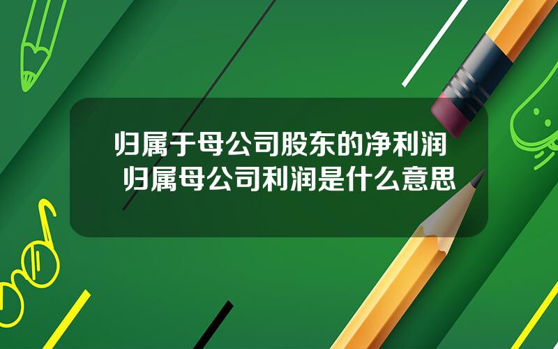 归属于母公司股东的净利润 归属母公司利润是什么意思